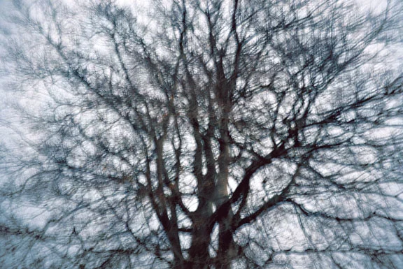 Image52.jpg