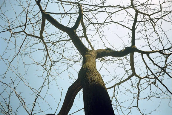 Image60.jpg