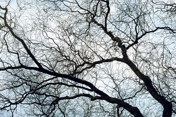 Image82.jpg