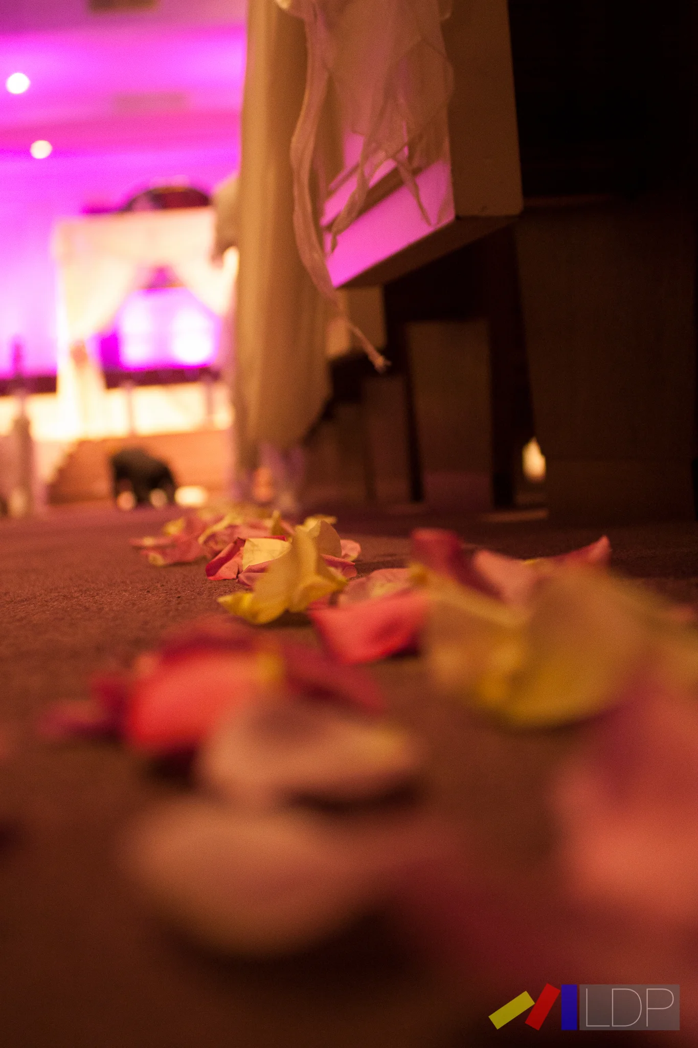 Weddings by LDP