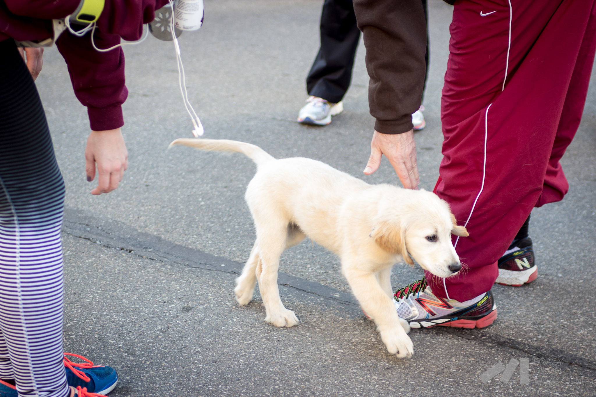 It was good to see the costumes, kids, pets and all the other great signs of spring! 