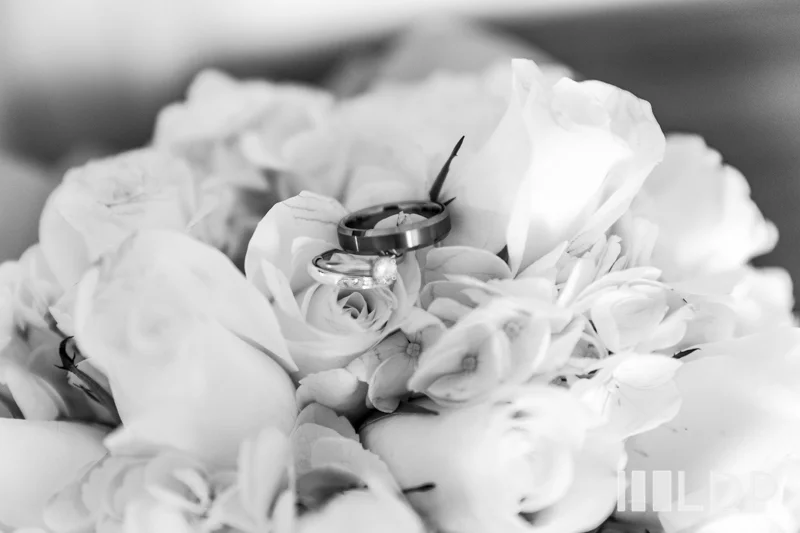 KolmanWeddingWEB-8.jpg