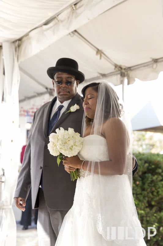 KolmanWeddingWEB-175.jpg