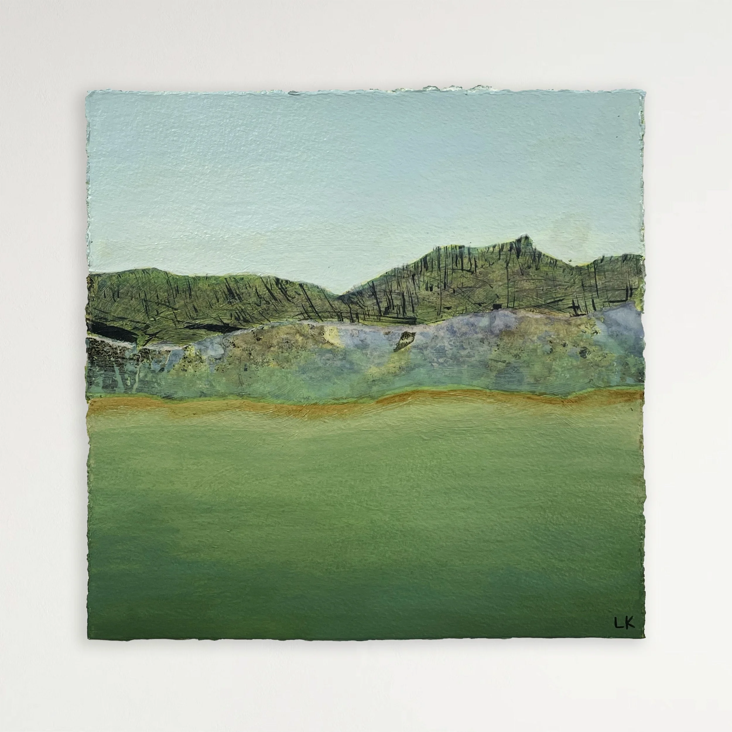 Landscape Texture Study II-web.jpg