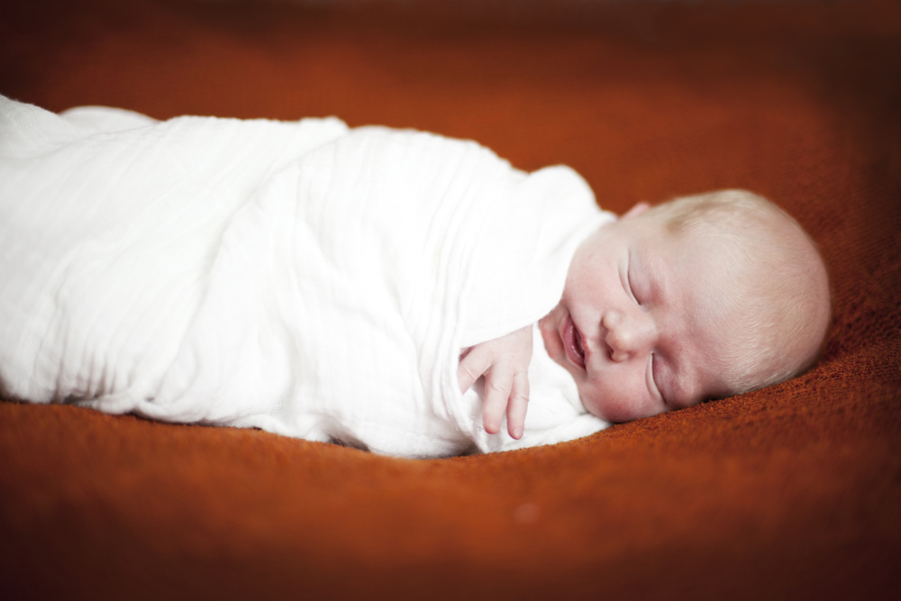 canberra newborn photographer-1-11.jpg