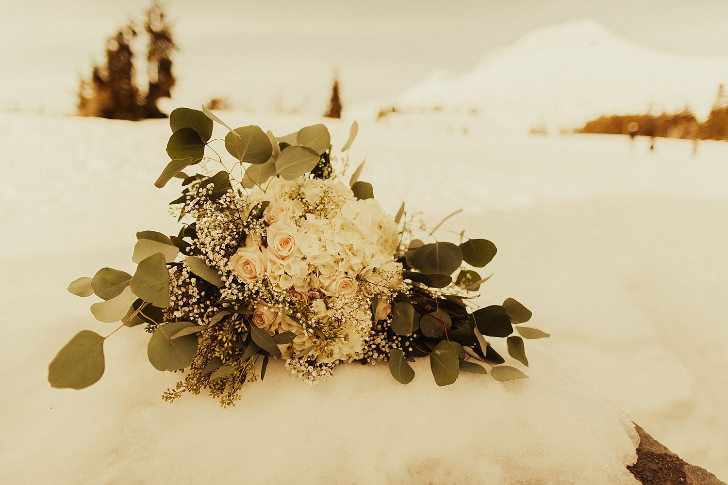 mt-hood-timberline-lodge-wedding_1231.jpg