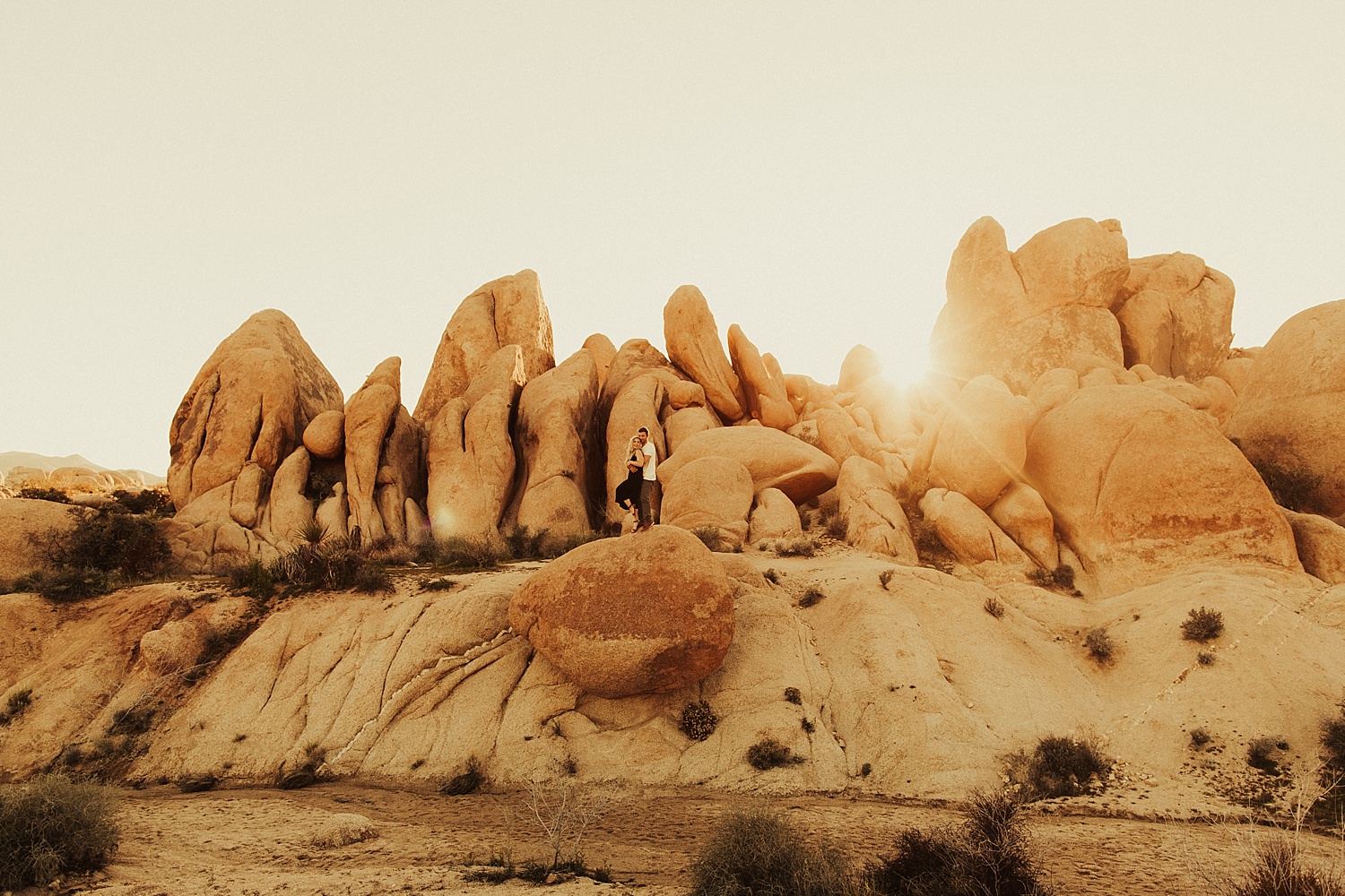 joshua-tree-engagement-session_0240.jpg