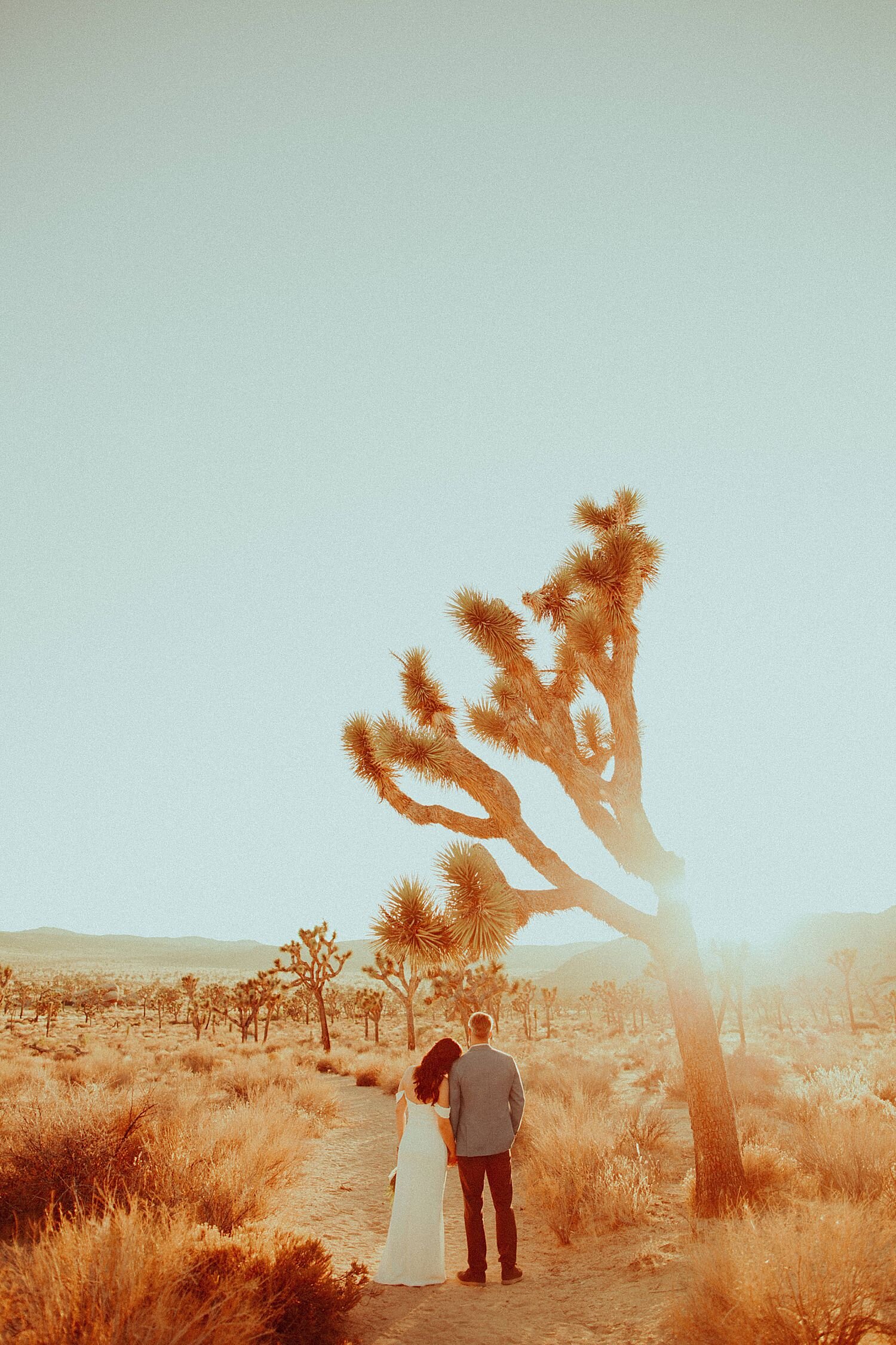 Joshua Tree National Park Elopement // Rancho Morongo, CA // Manuela