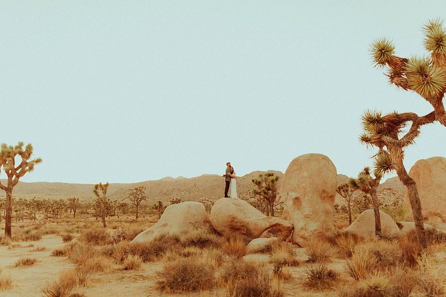 Joshua Tree National Park Elopement // Rancho Morongo, CA // Manuela