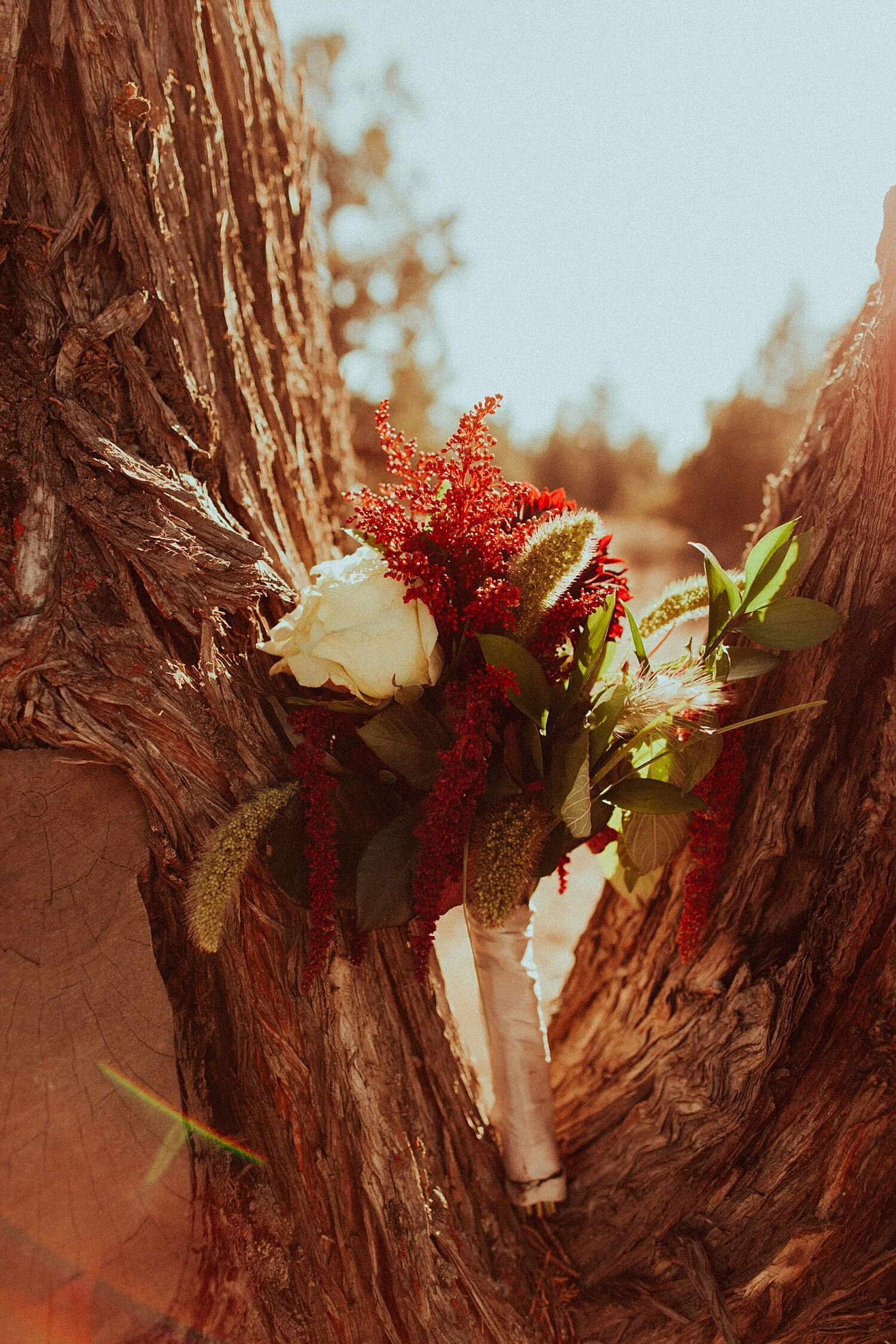 Bend Backyard Tiny Wedding // Bend, OR // Sarah & Clark — Oregon