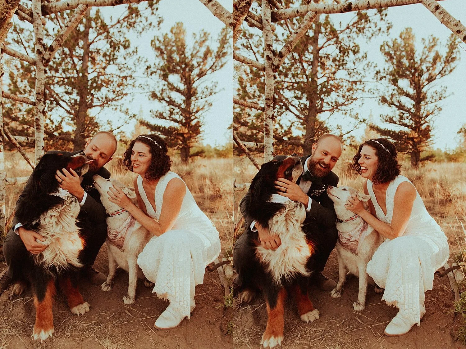 Bend Backyard Tiny Wedding // Bend, OR // Sarah & Clark — Oregon