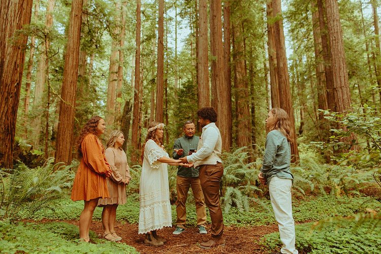 Intimate Redwoods Elopement and Oregon Coast Picnic // Brookings, OR ...