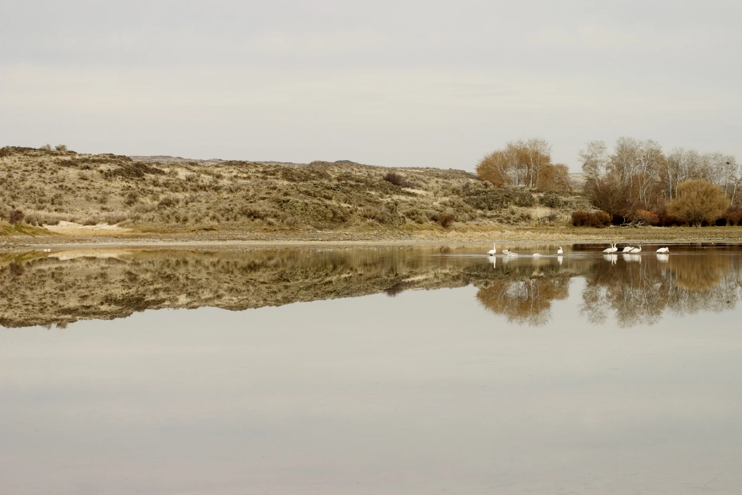 CRW_4441.jpg
