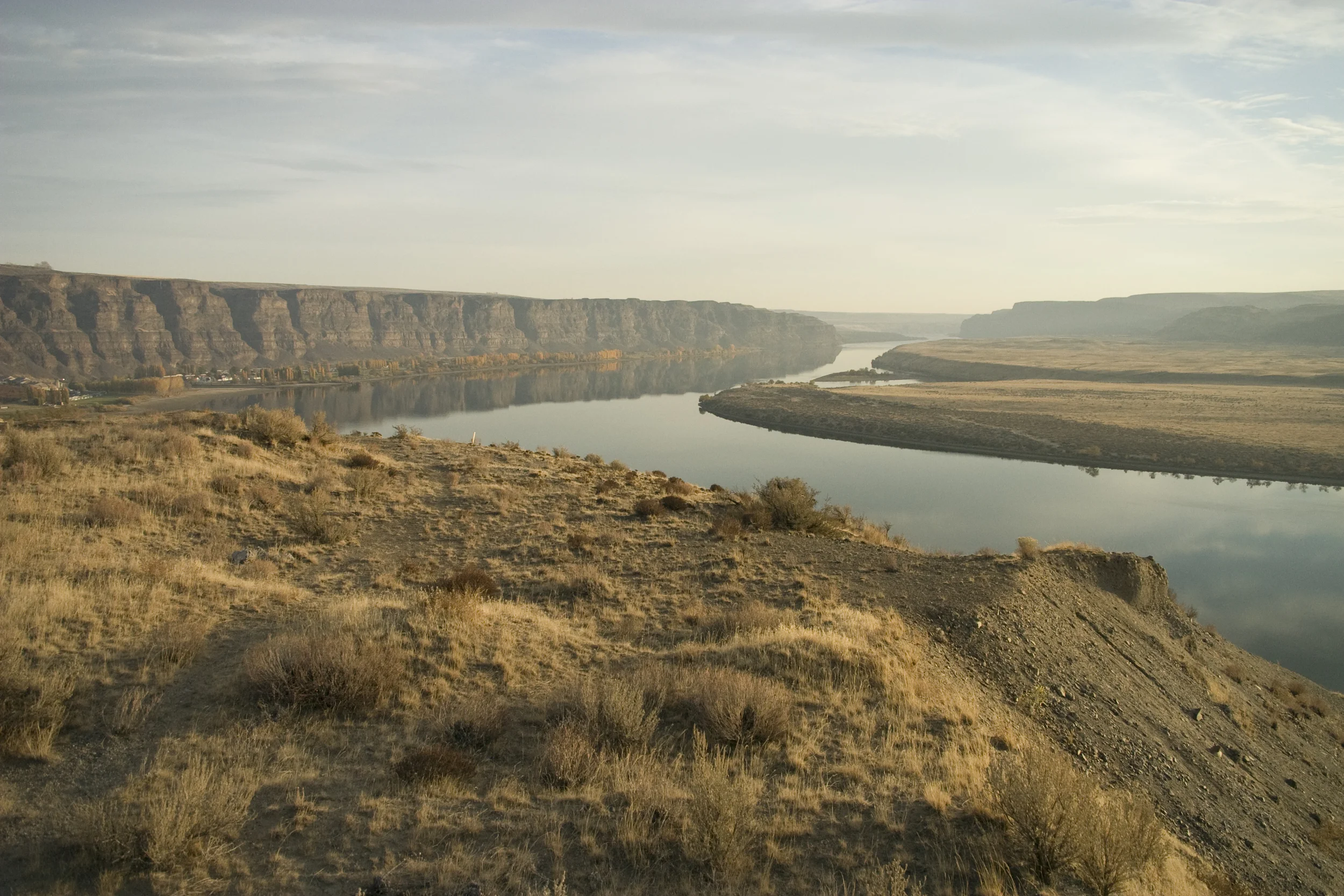 CRW_4484.jpg