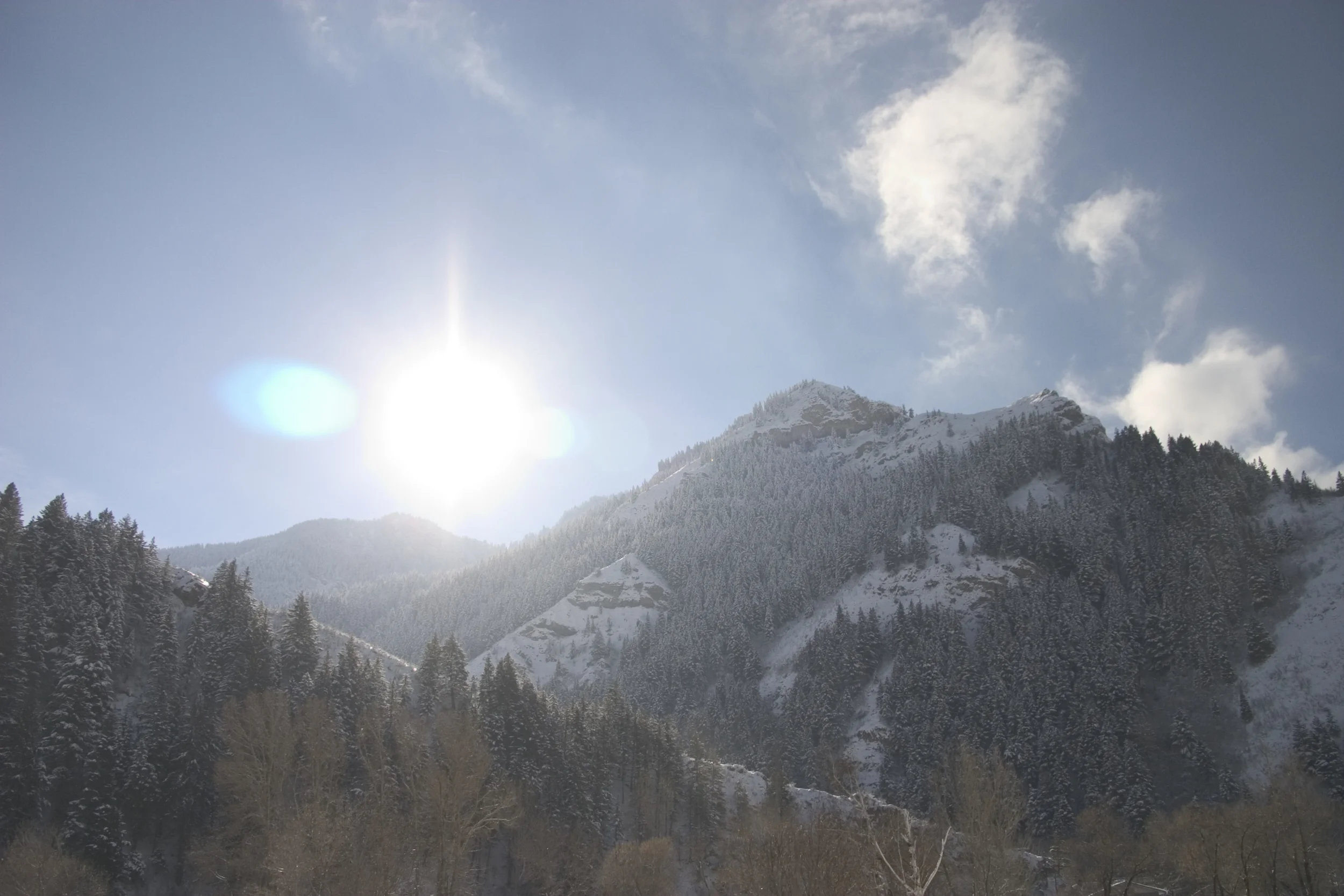 CRW_5521.jpg