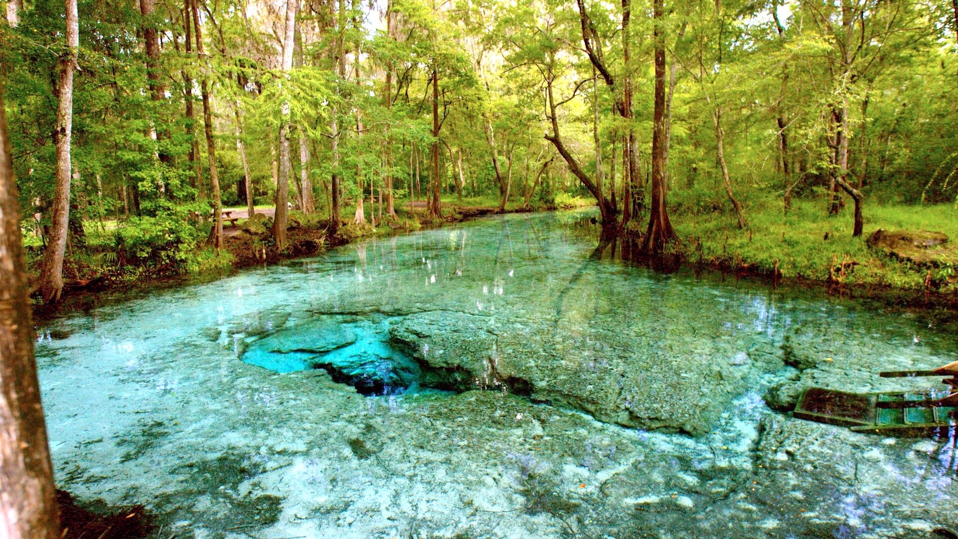 Ginnie Springs 1 New 1080x.jpg