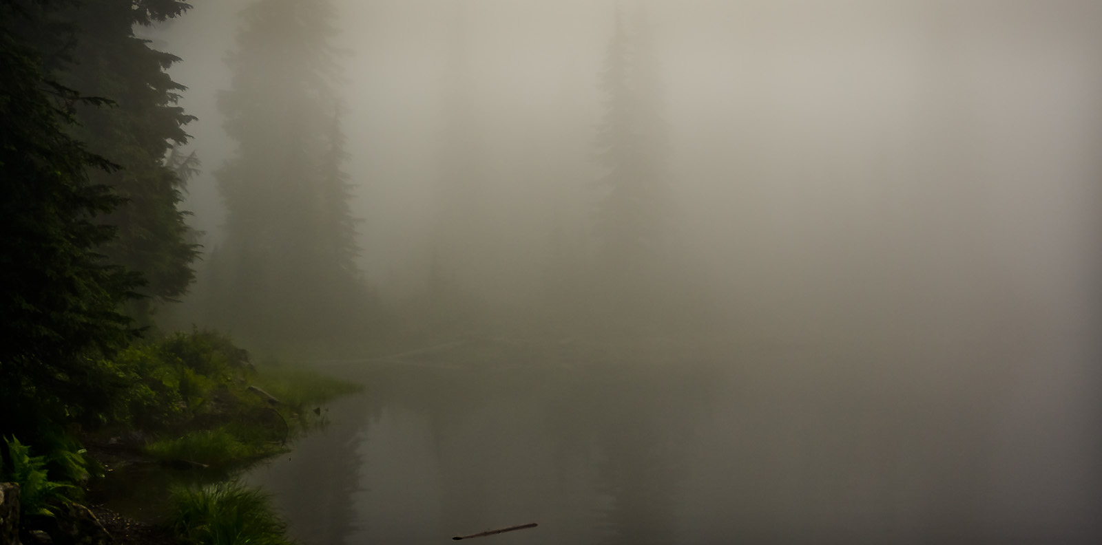 seymour fog over pond LR.jpg
