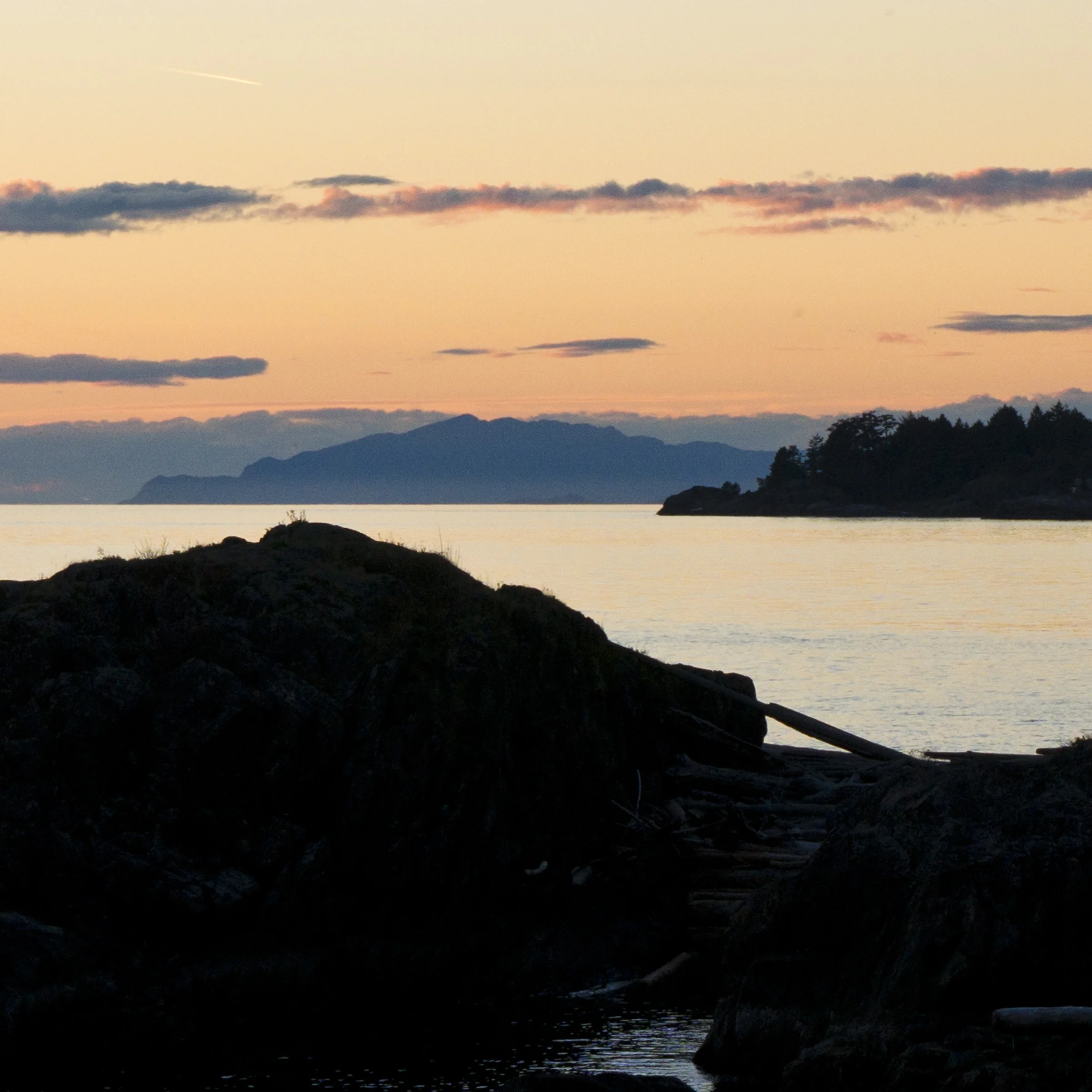 _DSC6875 LR.jpg