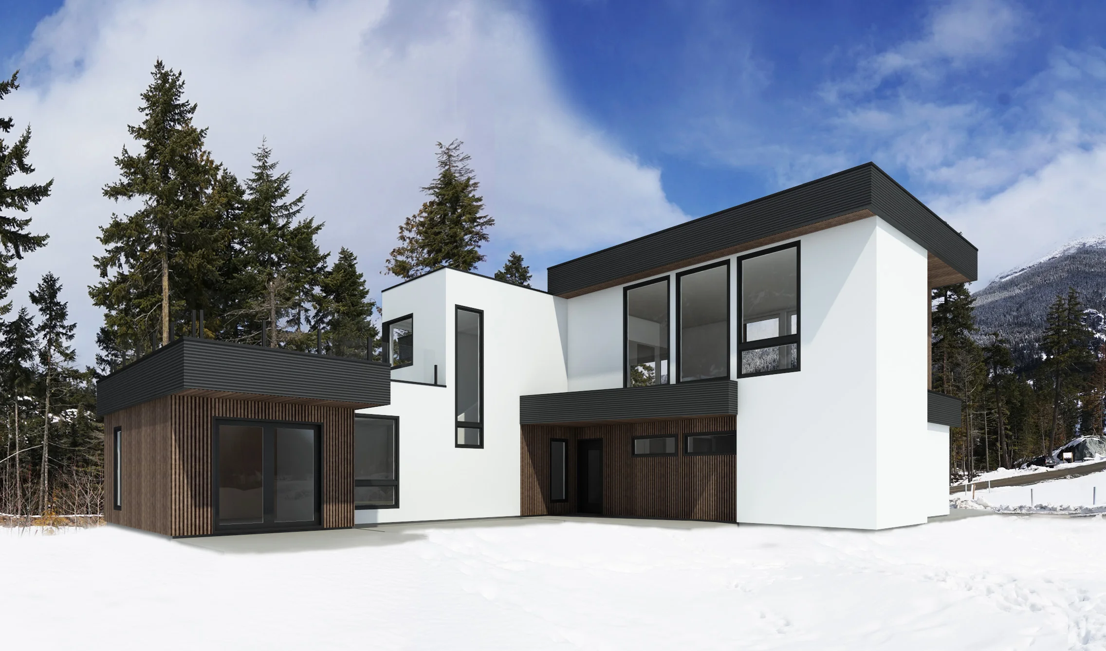 ext W snow comp00.jpg