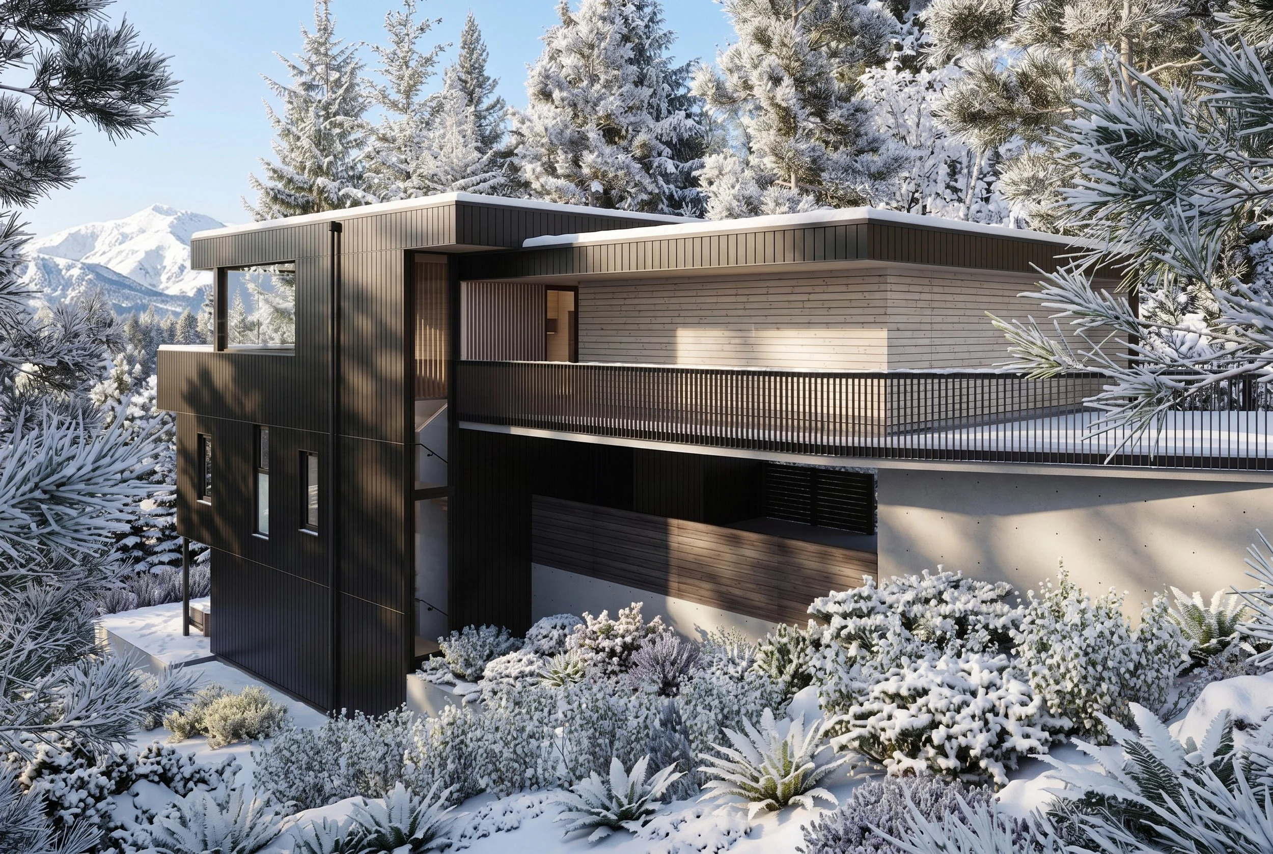 ext NE yard comp veras winter.jpg