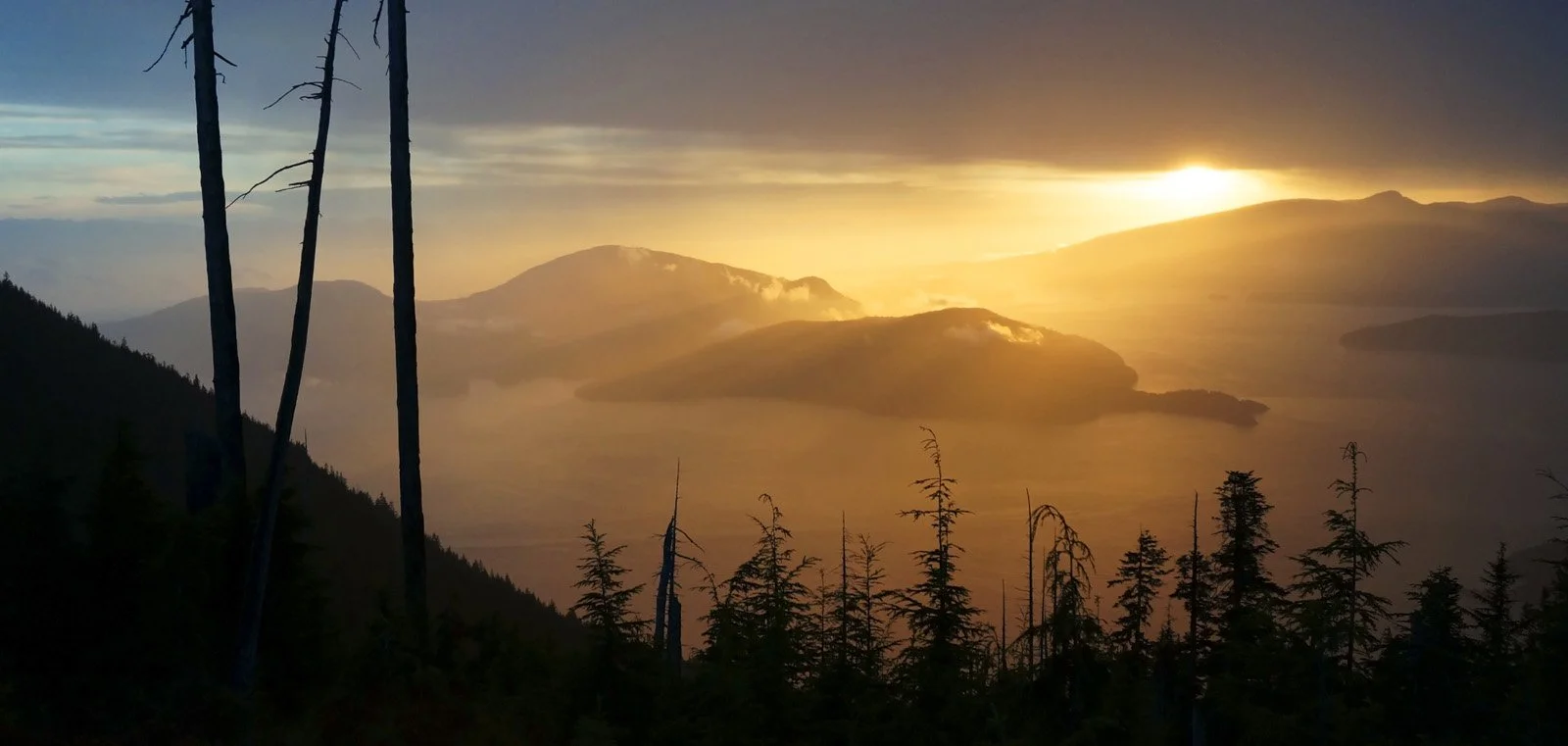 cypress sunset LR.jpg