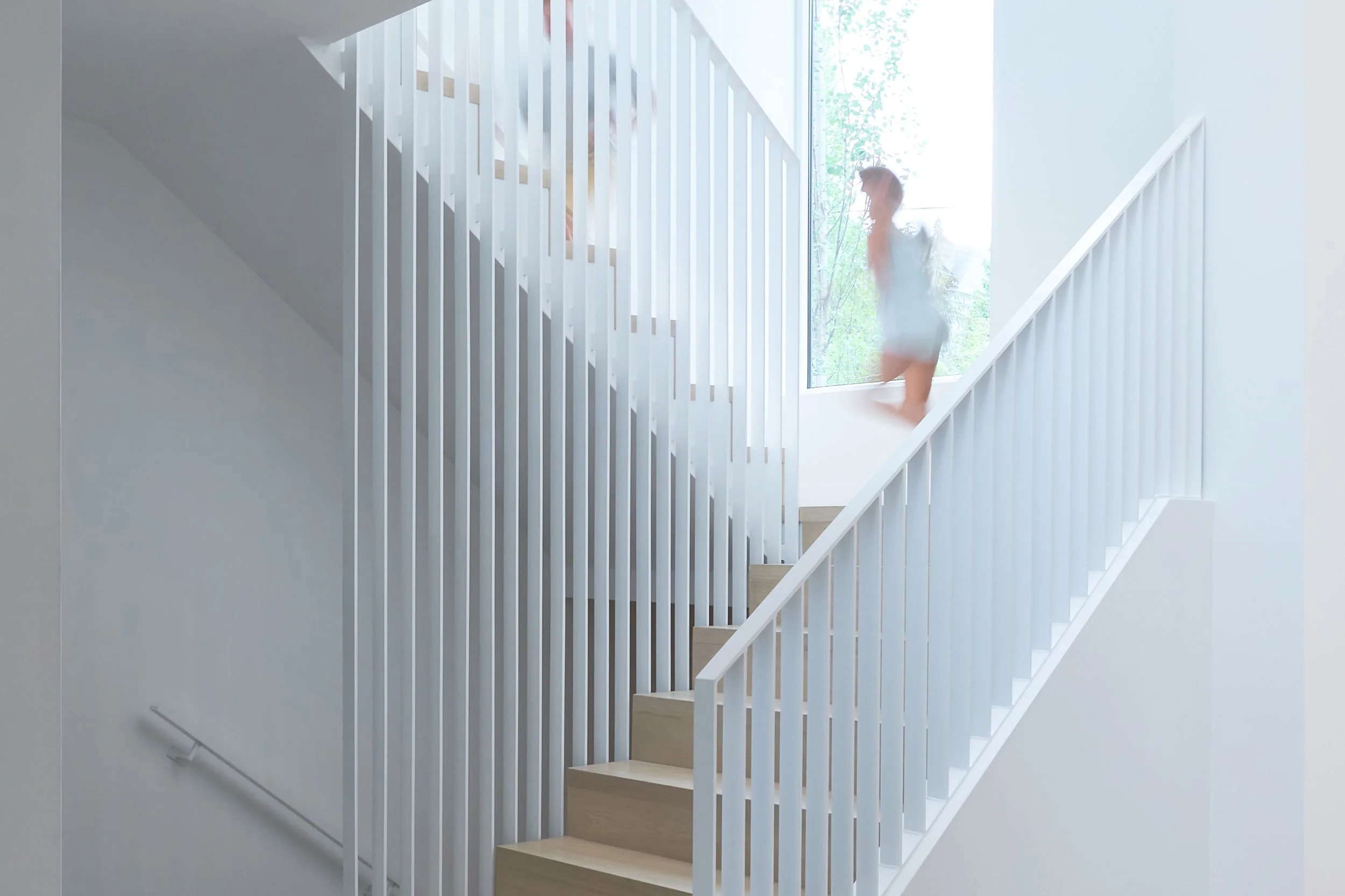 _SJC0288-FN crop.jpg