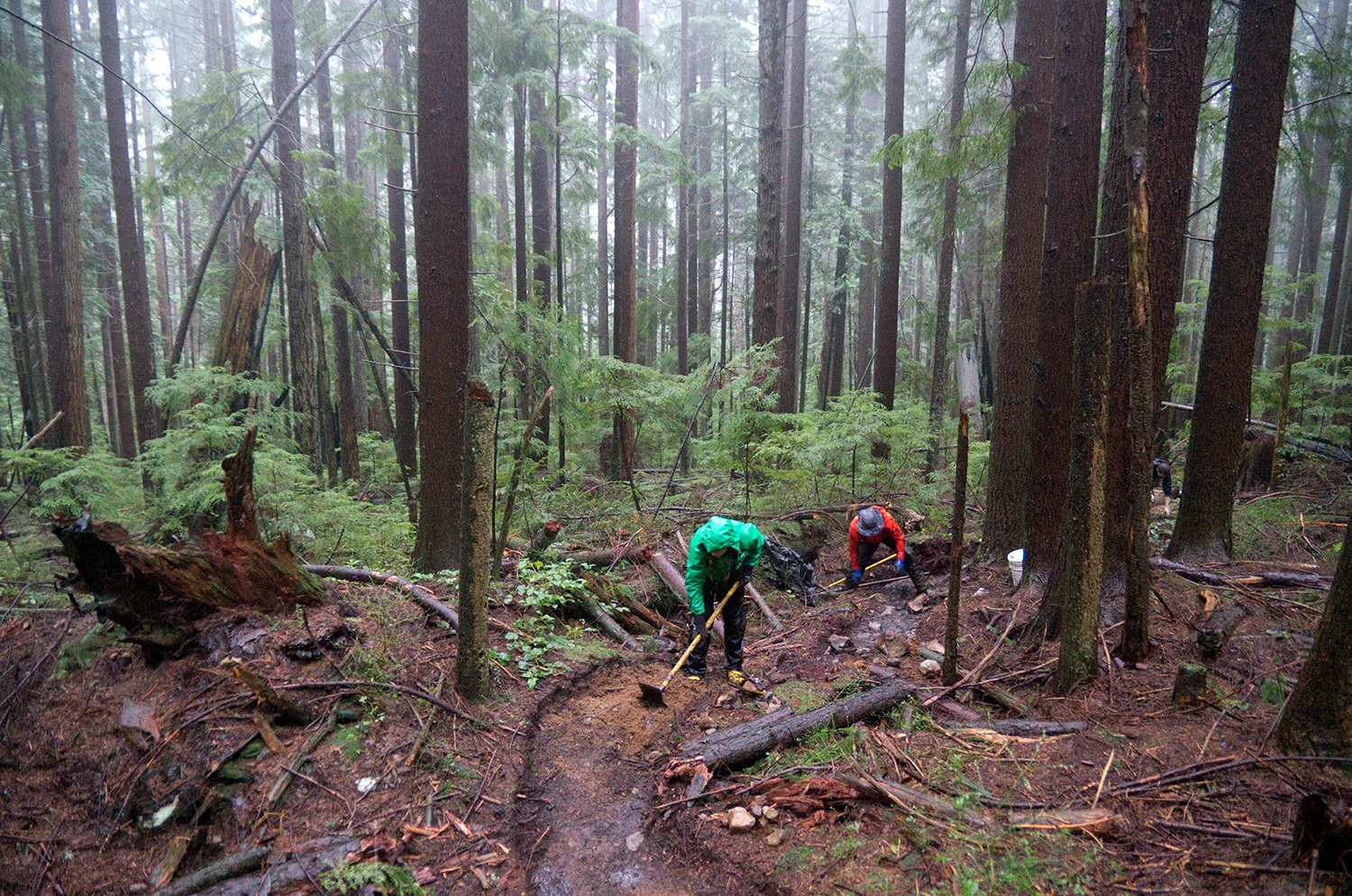 Over the course of building Good Sir Martin and Penny Lane, Martin put in 754 hours and Penny put in 481. Other volunteers brought the total for the two trails to 1882 hours.