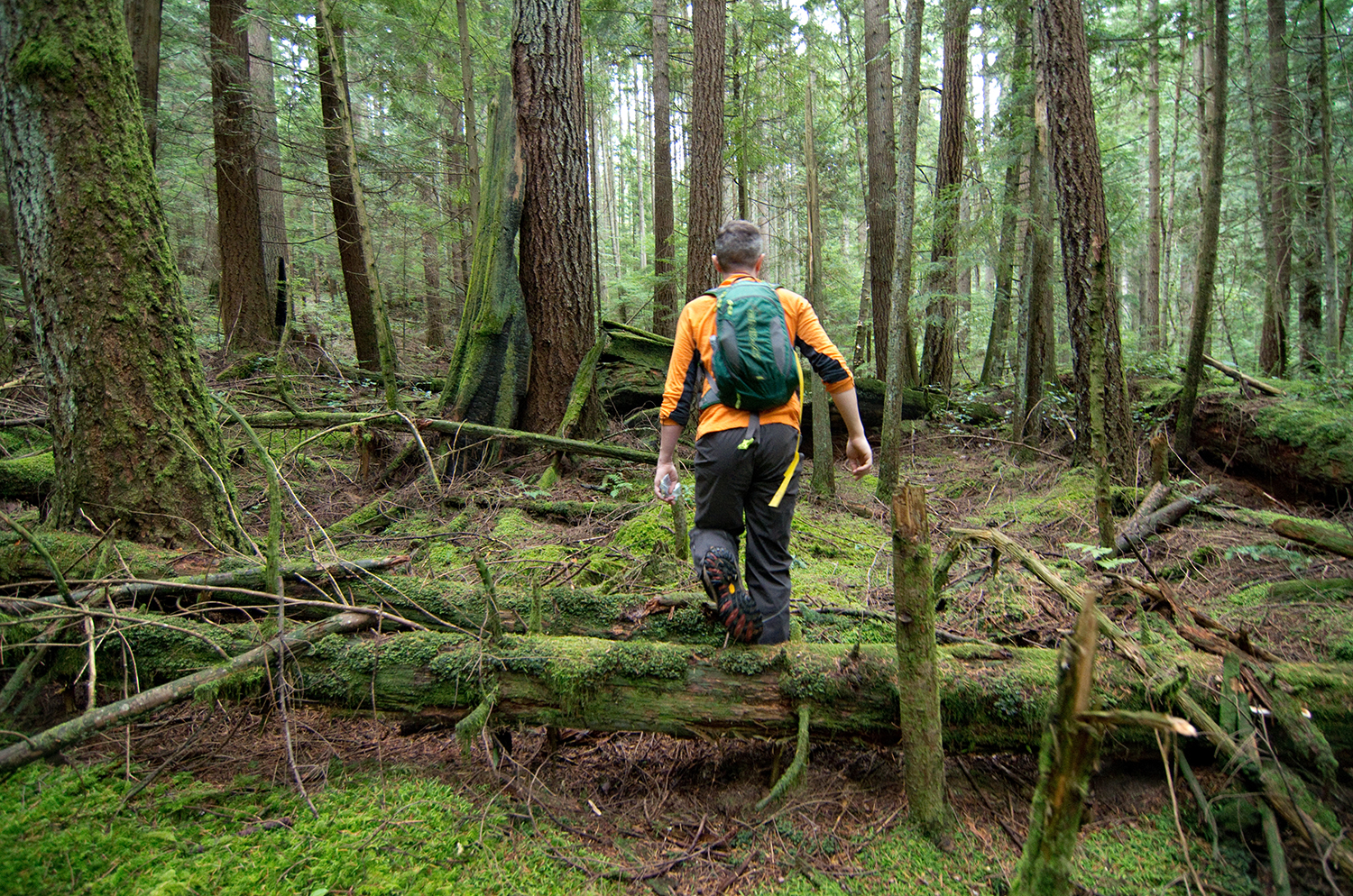   Before beginning to build, Martin spent several days hiking around the area while deciding where the trail should go. He flagged a rough line using yellow tape, which was gradually refined as the work progressed.  