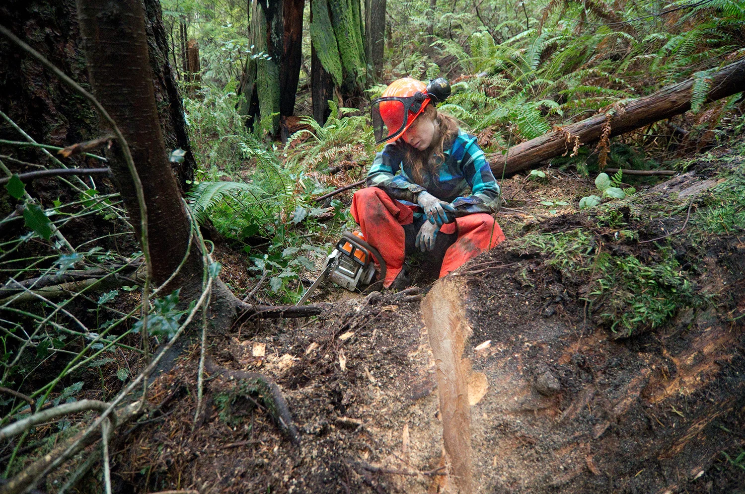 Penny taking a break while cutting a fallen log. The chainsaw blade became dull quickly thanks to debris on and around this kind of deadfall, requiring frequent manual sharpening.