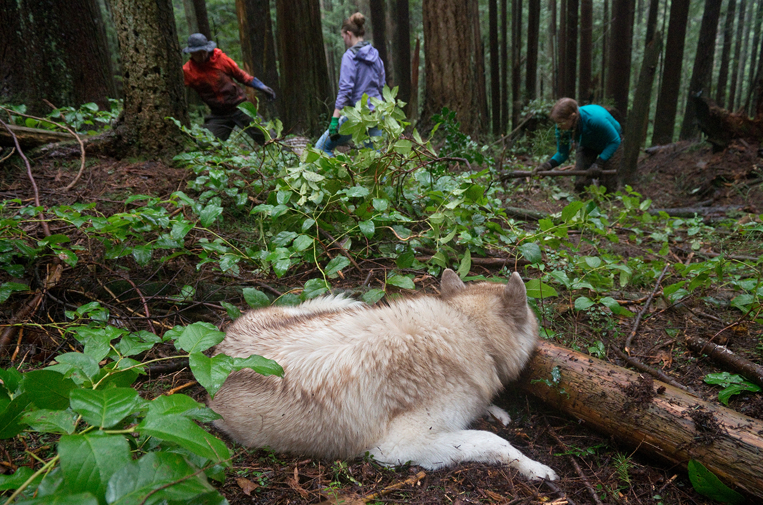   After leaving the note, Alex and Maddy often came out to help in terrible weather, usually bringing along their dog Harrison. They became good friends with Martin and Penny — Martin said that their cheerfulness really “kept us going” during difficu