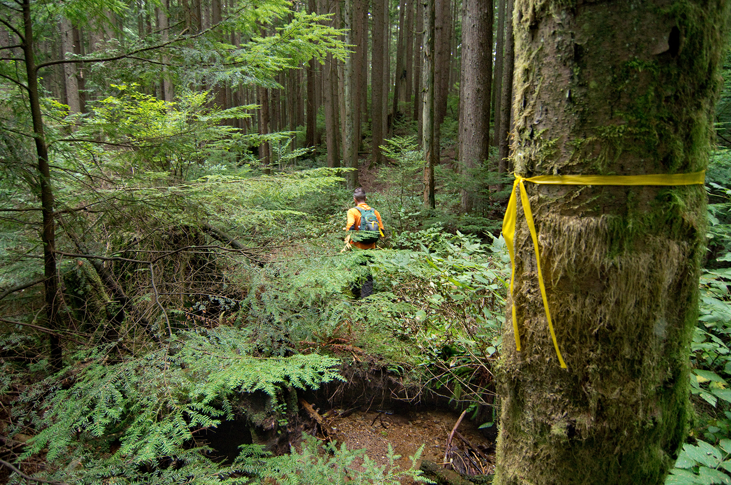   October 13, 2014: The creek crossing was the only part of the trail that didn’t change location over the course of the build.  