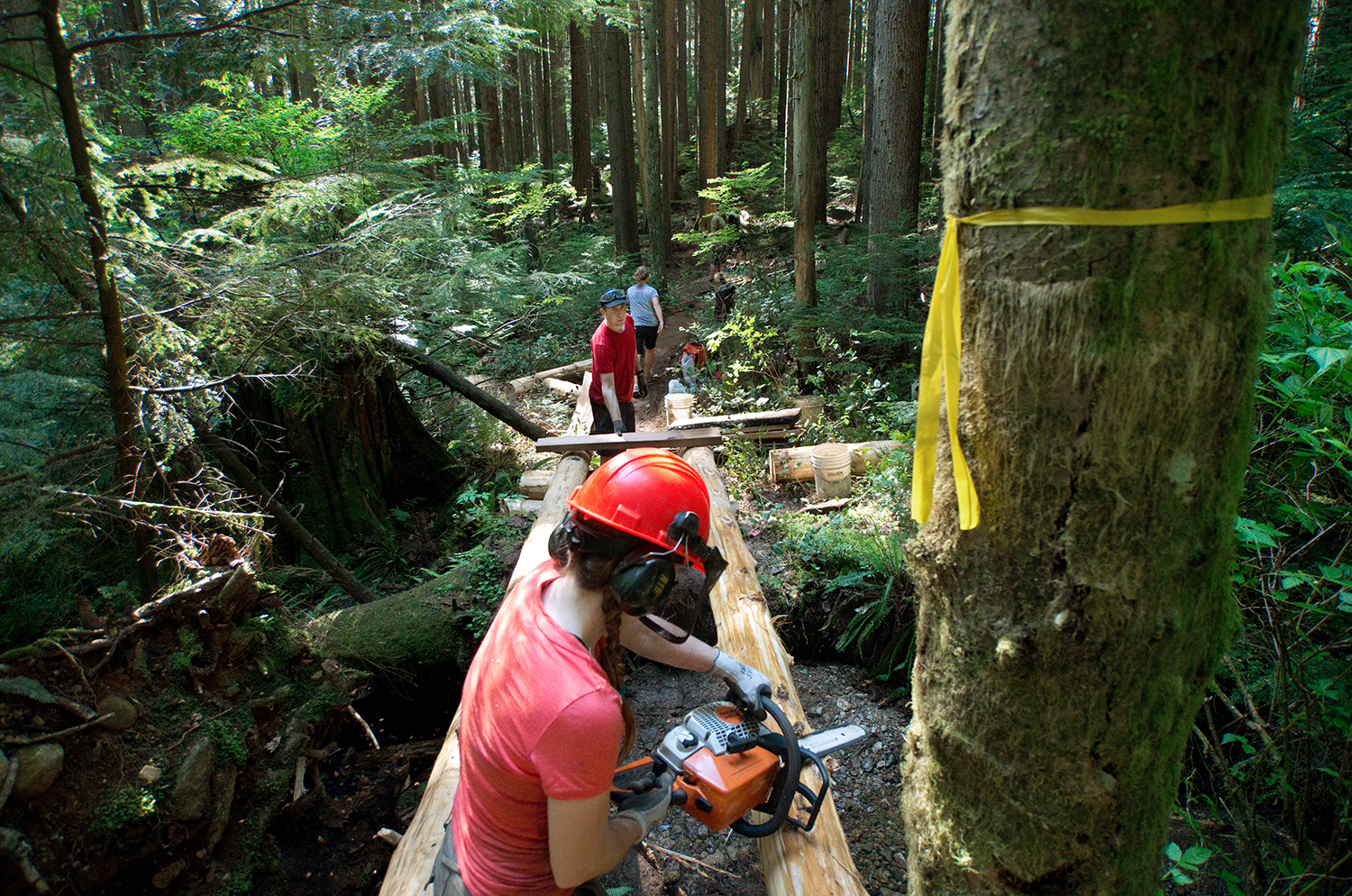   May 18, 2015: Martin and Penny used as few bridges as possible because they will eventually degrade and have to be replaced. Nevertheless, bridge-building was everyone’s favourite day.  