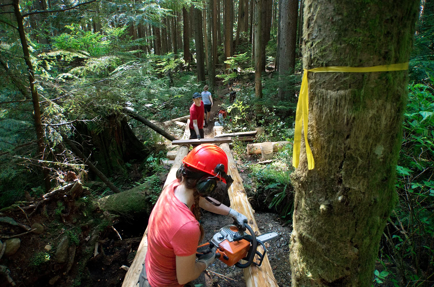 May 18, 2015: Martin and Penny used as few bridges as possible because they will eventually degrade and have to be replaced. Nevertheless, bridge-building was everyone’s favourite day.
