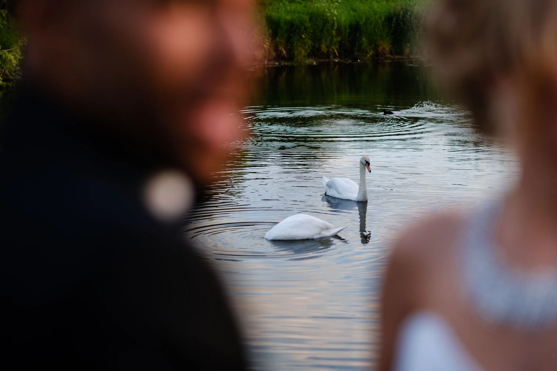Ardington House Wedding Photography - Nathan & Charlie-511.jpg