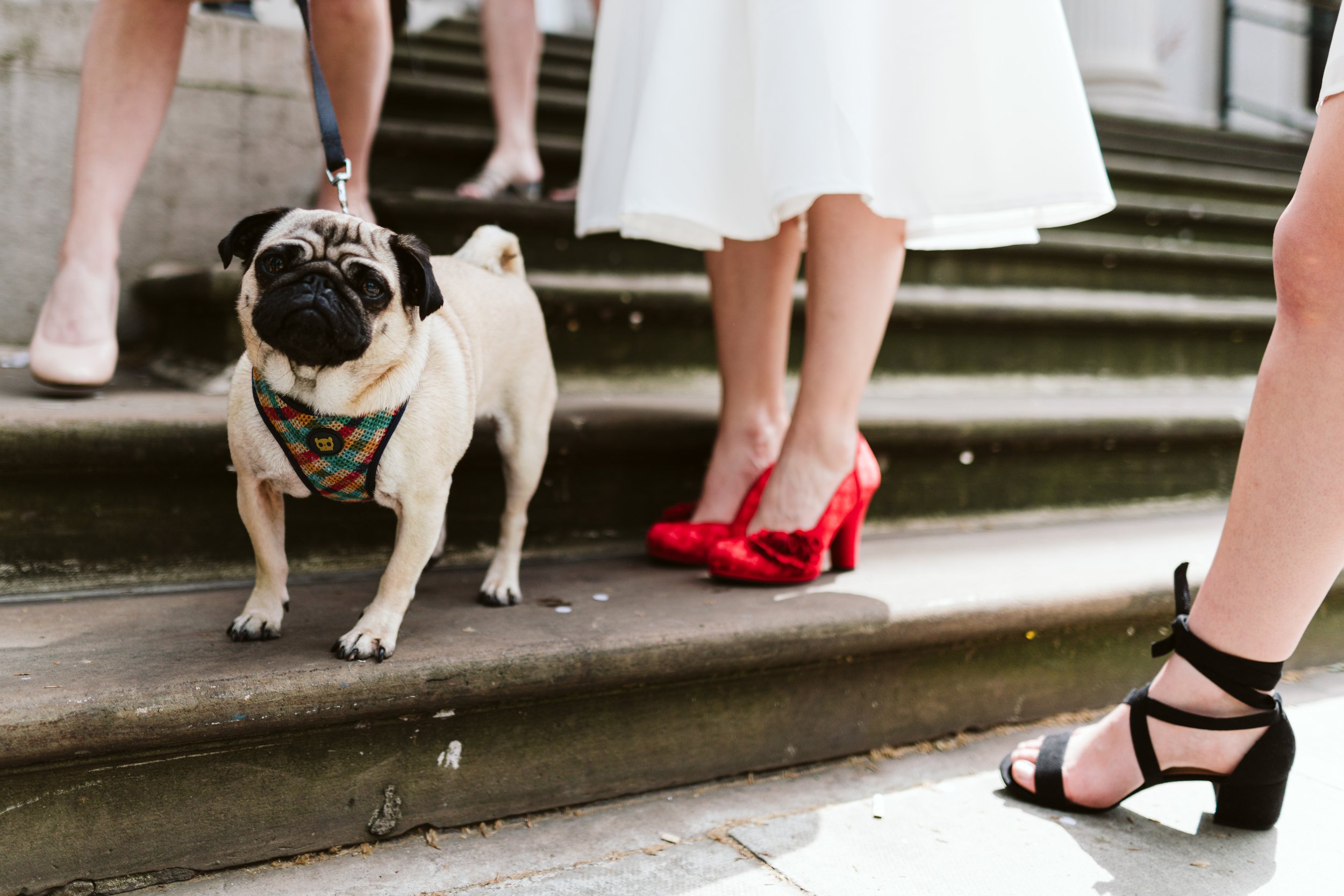 same sex wedding photography.jpg