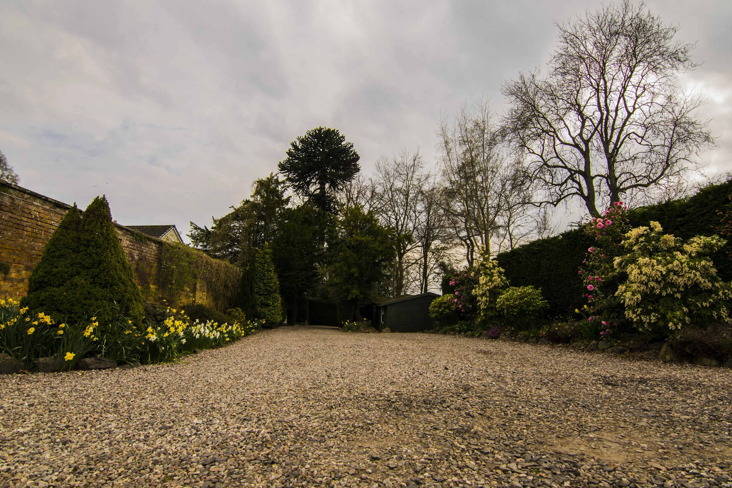 DSC_2619.jpg