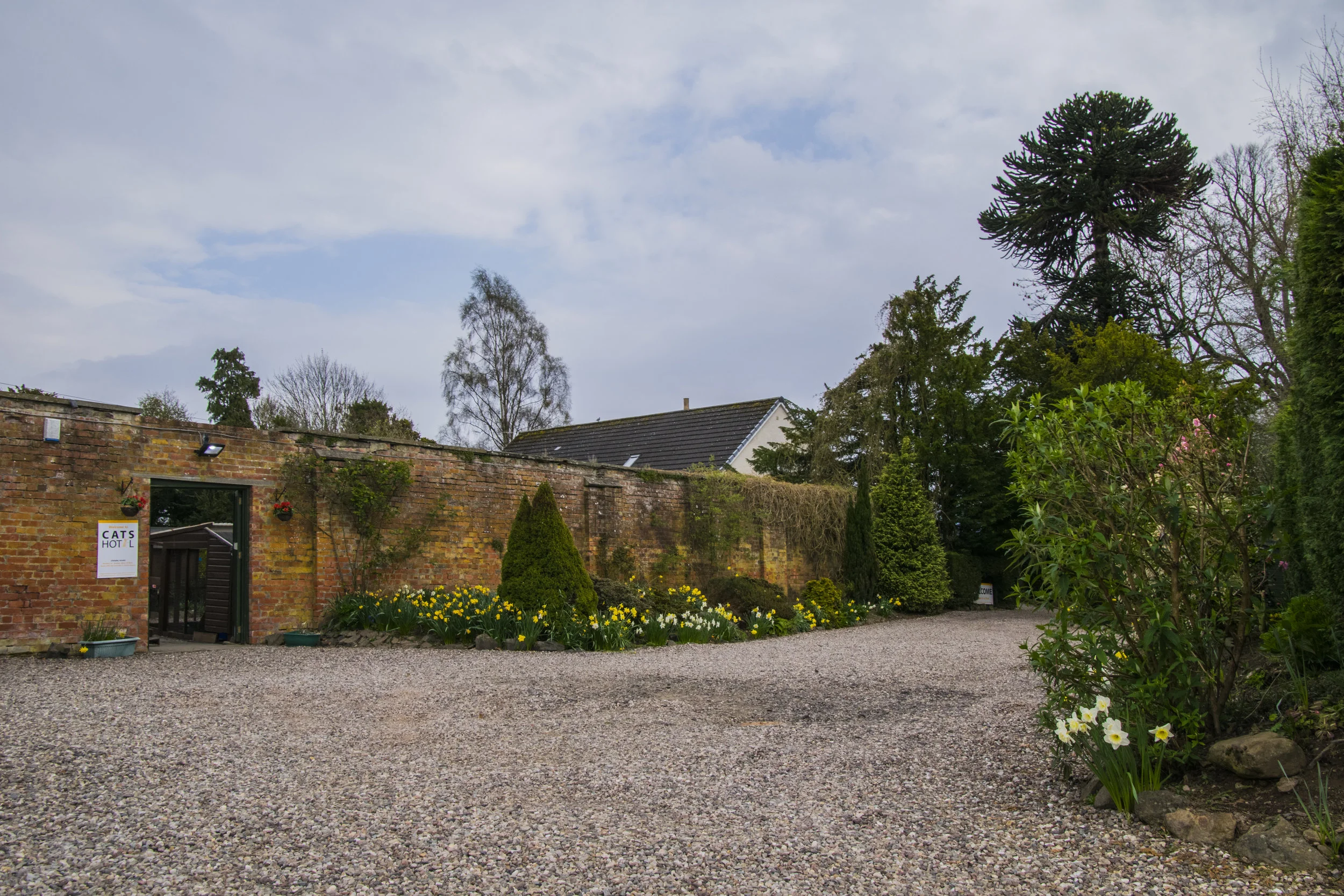 DSC_2626.jpg