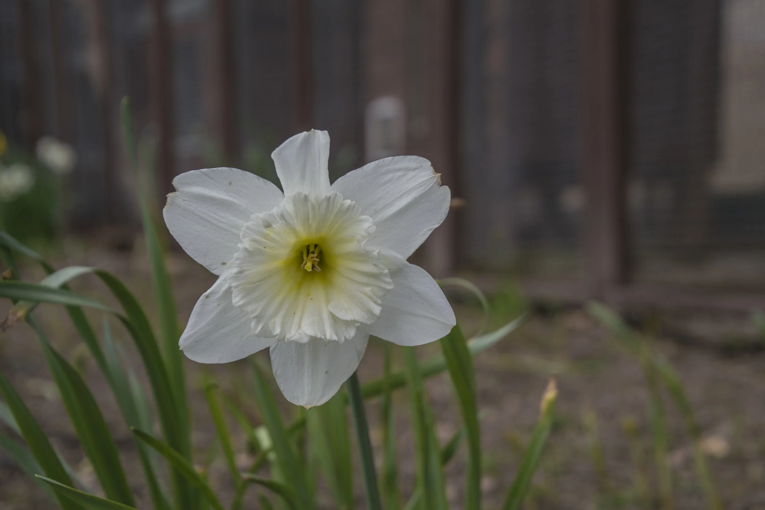 DSC_2653.jpg