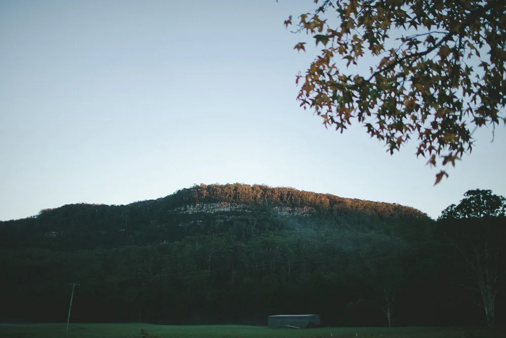 kangaroo valley_119.jpg