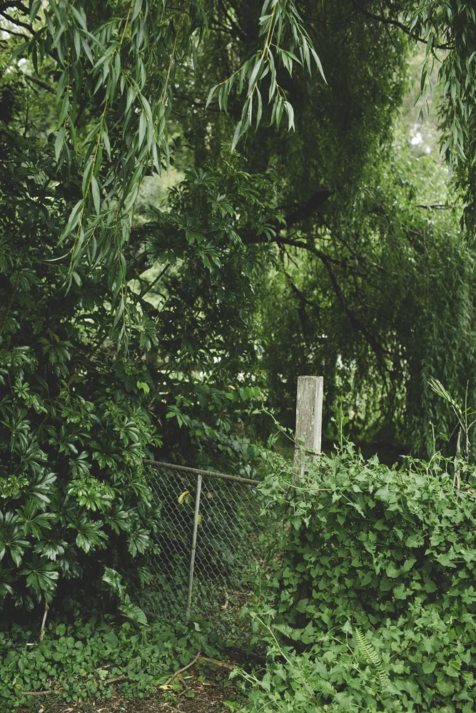 _13A3829.jpg