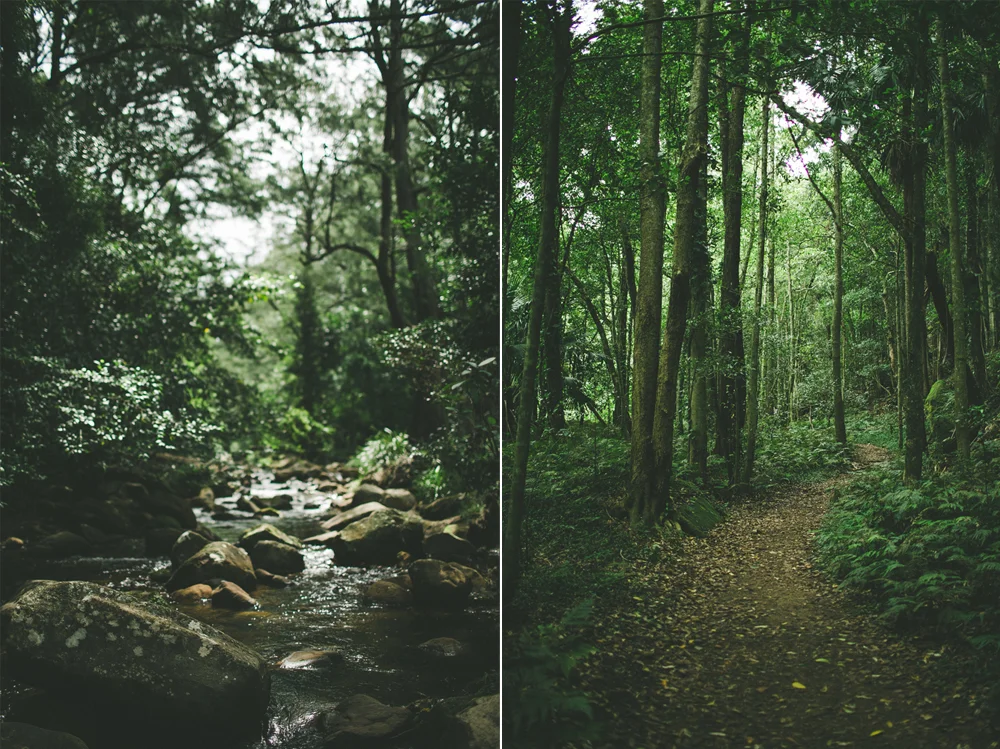 travel-01.jpg