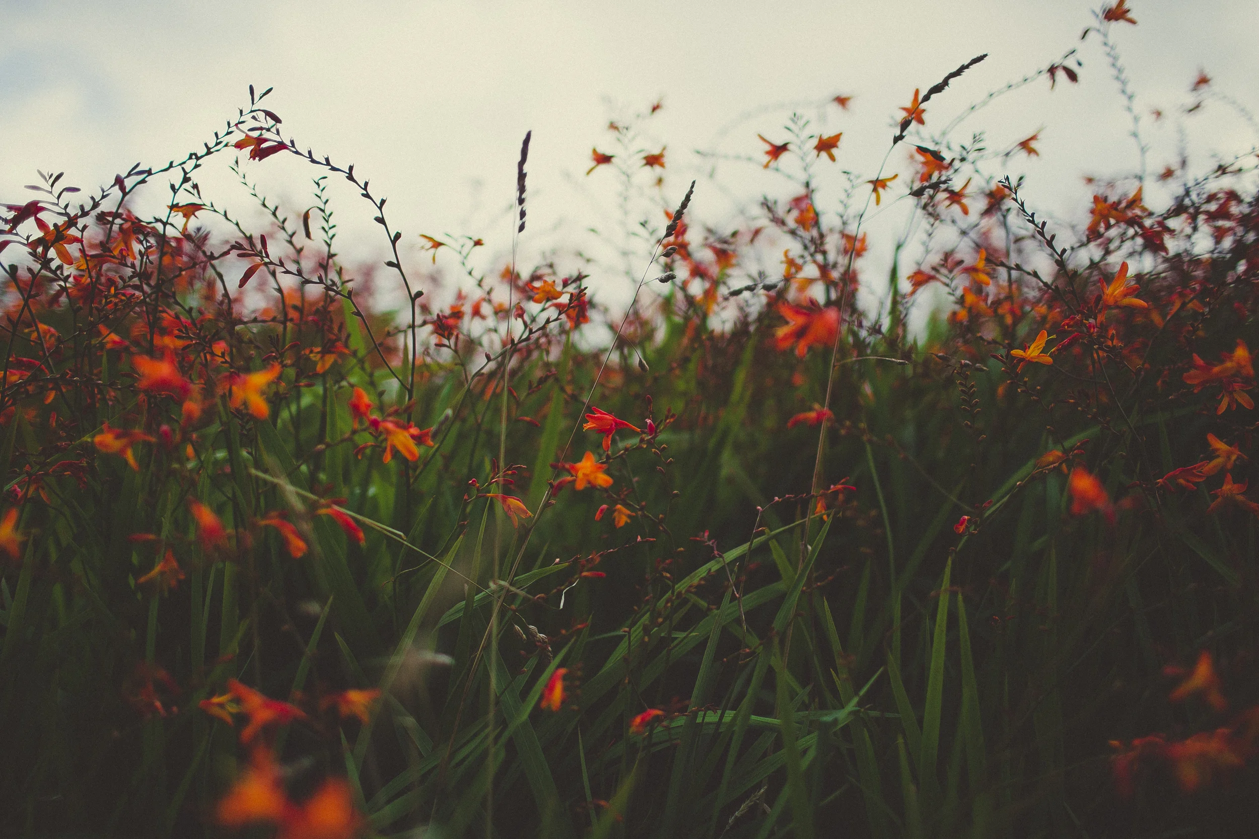 this week: on the road