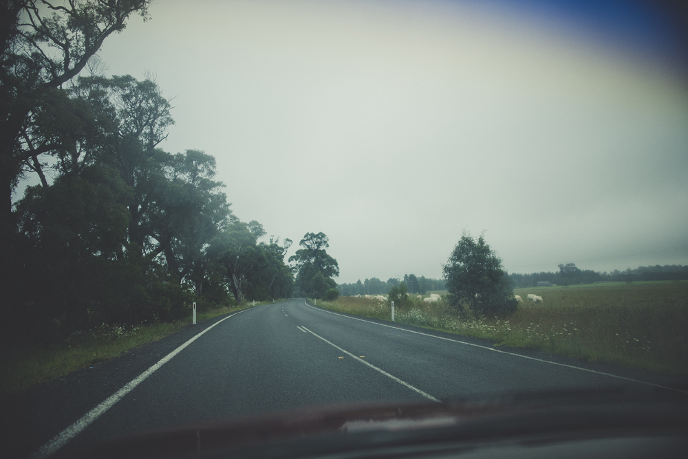  We set off on our drive through the fog. 