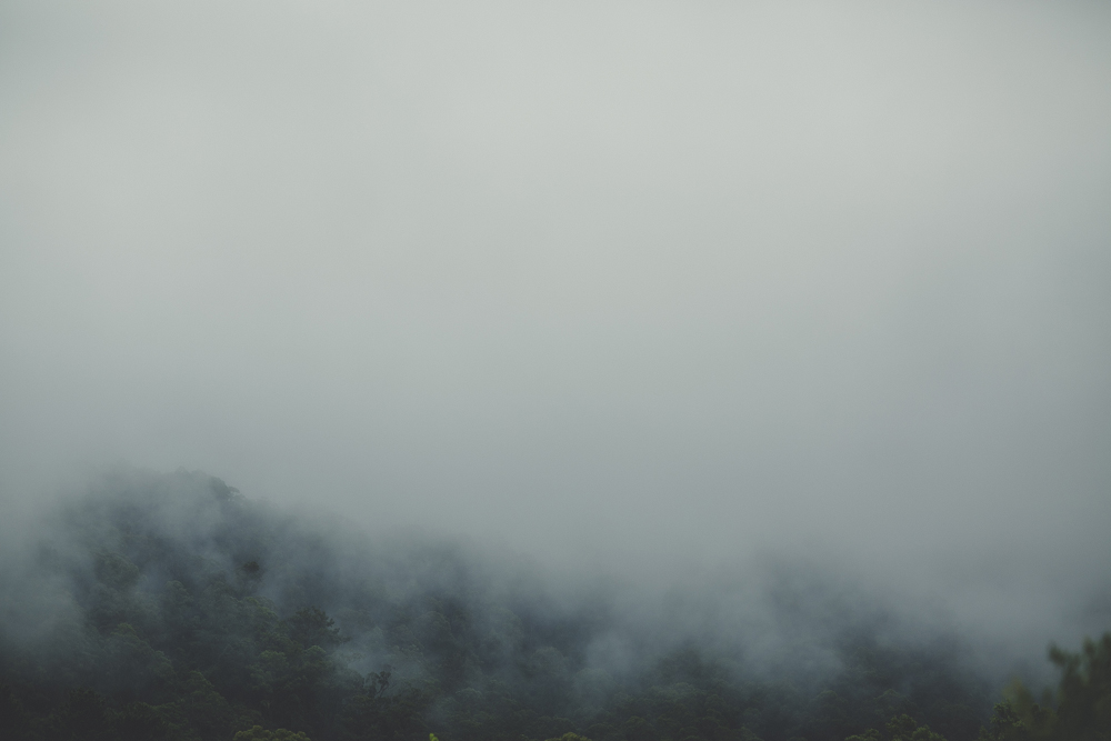 kangaroo-valley_016.jpg