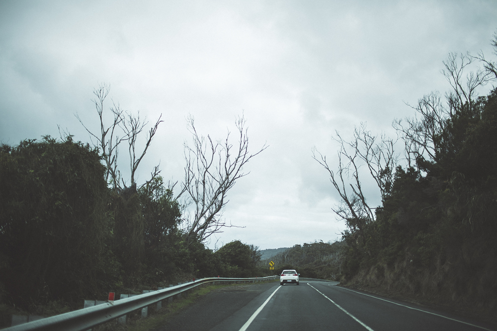 great ocean road_32.jpg