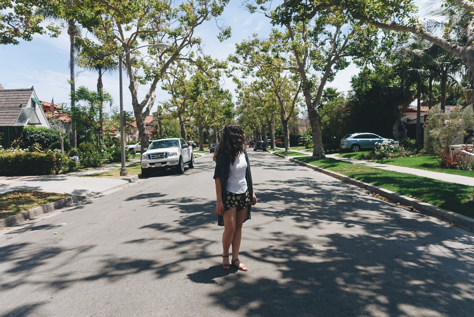  wandering the streets of beverly hills where the roads are paved through a tunnel of trees and there are picture perfect houses with picture perfect lawns. 