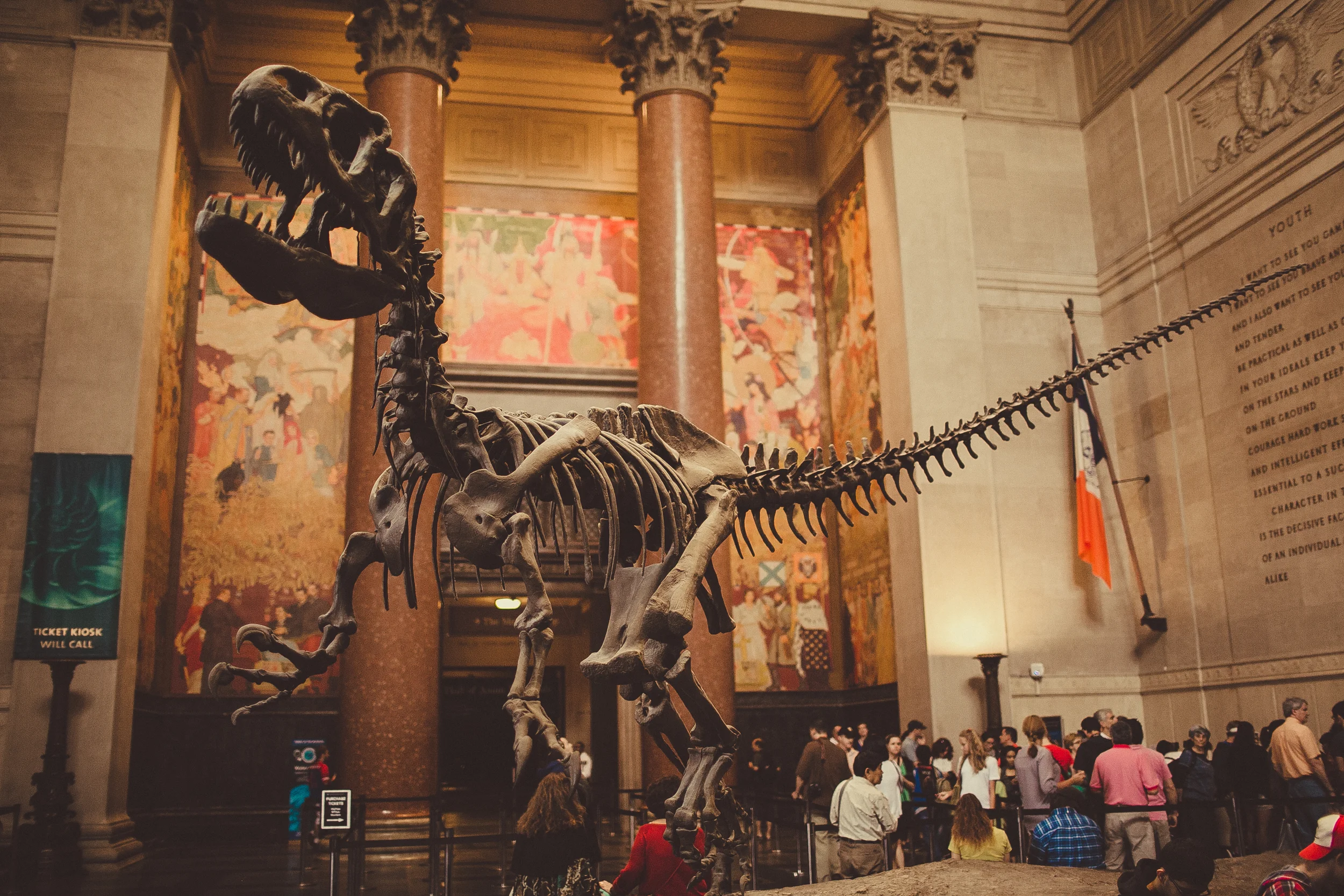 american natural history museum, new york