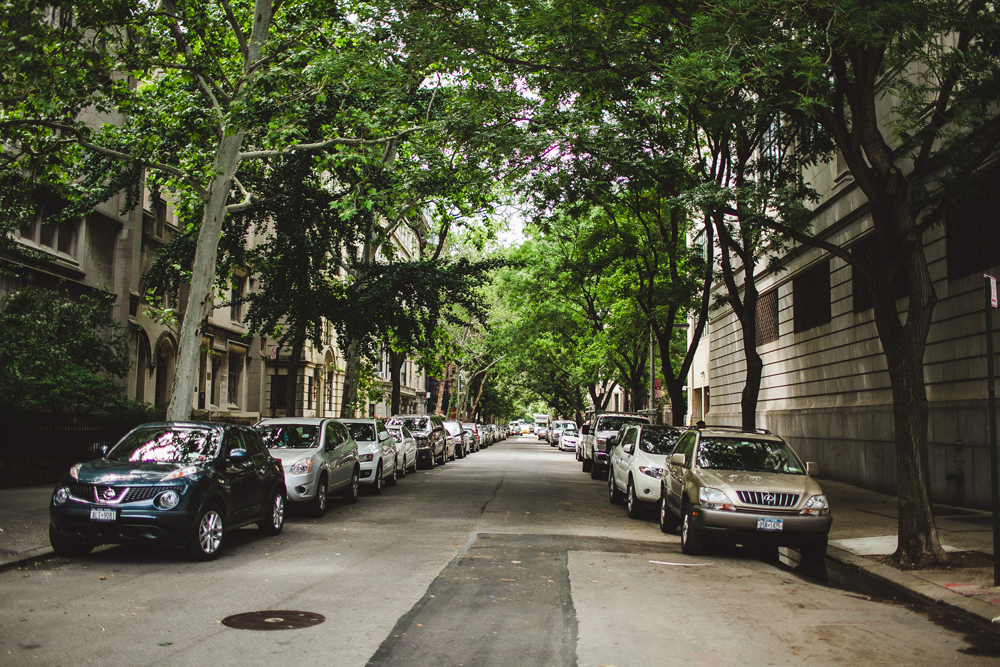  on our walk back from the american museum of natural history. the one thing that i was taken aback about new york is how much GREEN and colour there is all over the city. it's definitely not just a concrete jungle. 