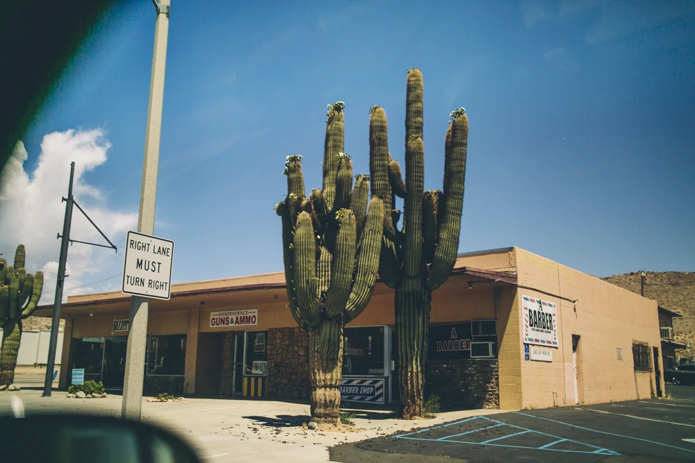  Seeing little snippets of Joshua Tree for the first time. 