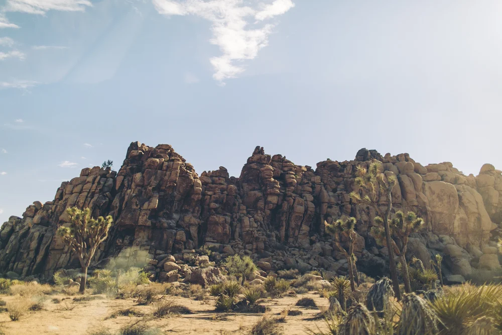  I would stare out the car window in awe as we drove through the National Park. 